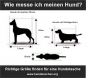 Preview: Flugzeug Hundetasche 55x40x23 lufthansa